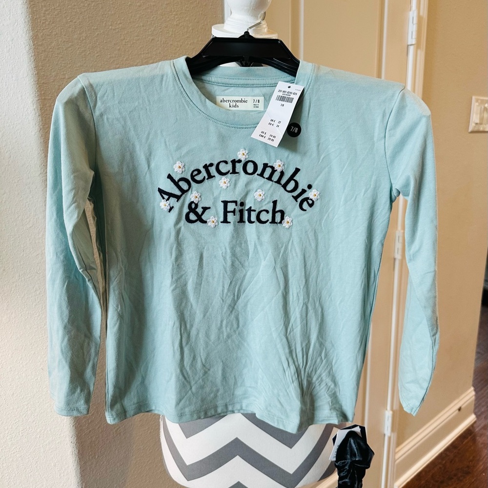 Abercrombie & Fitch Blue Long Sleeve Tee